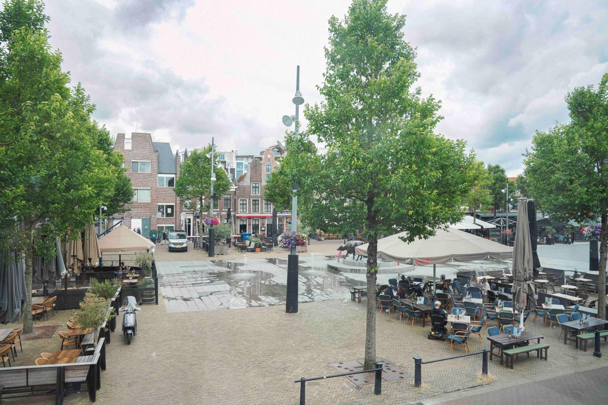 Koemarkt * Purmerend